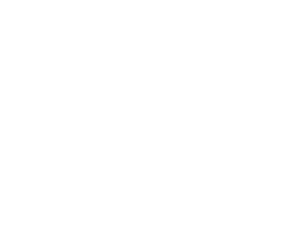 stylenet logo by graphic designers - JLB, Best Web Design and Web Development Company in Nashville, Brentwood, and Franklin