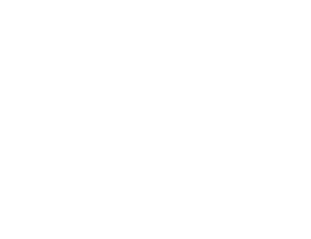 SOAR adventure tower logo by graphic designers - JLB, Best Web Design and Web Development Company in Nashville, Brentwood, and Franklin