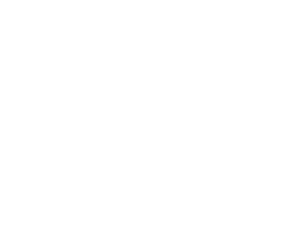 develey logo by graphic designers - JLB, Best Web Design and Web Development Company in Nashville, Brentwood, and Franklin