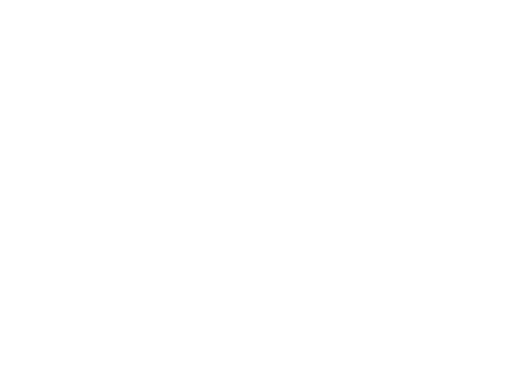 crossroads pet professionals logo by graphic designers - JLB, Best Web Design and Web Development Company in Nashville, Brentwood, and Franklin