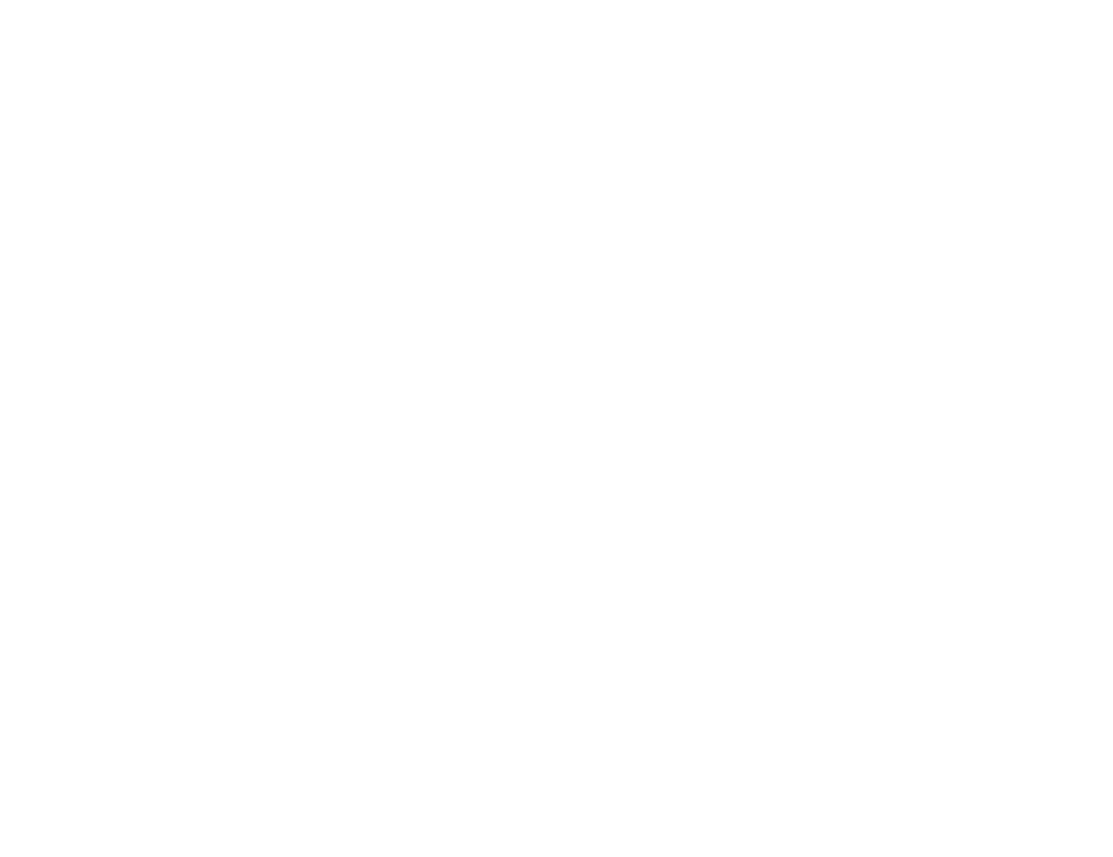 animalia wellness logo by graphic designers - JLB, Best Web Design and Web Development Company in Nashville, Brentwood, and Franklin