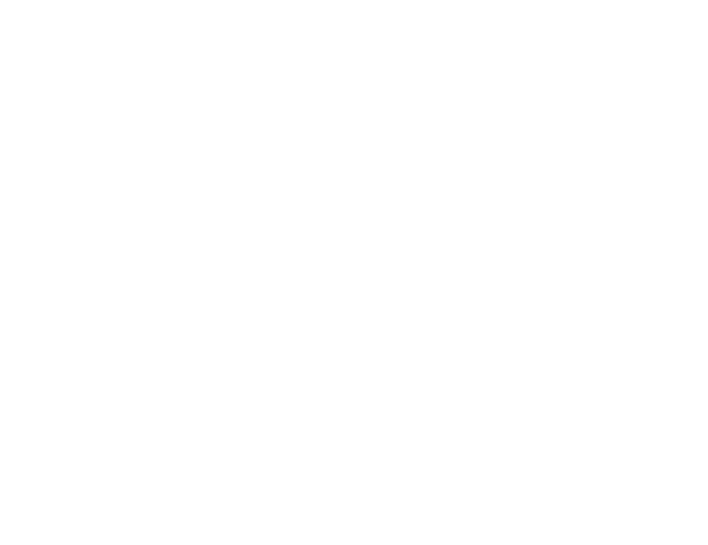 triguard business logo - JLB, Best Web Design and Web Development Company in Nashville, Brentwood, and Franklin