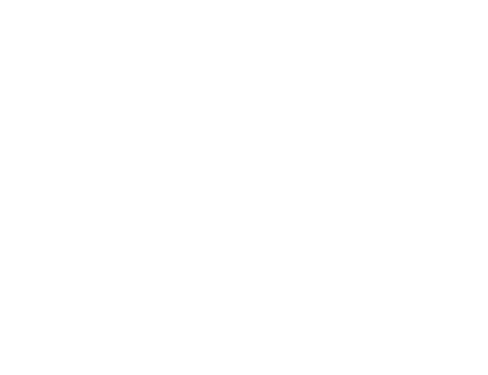 lightforce therapy laser healthcare logo - JLB, Best Web Design and Web Development Company in Nashville, Brentwood, and Franklin