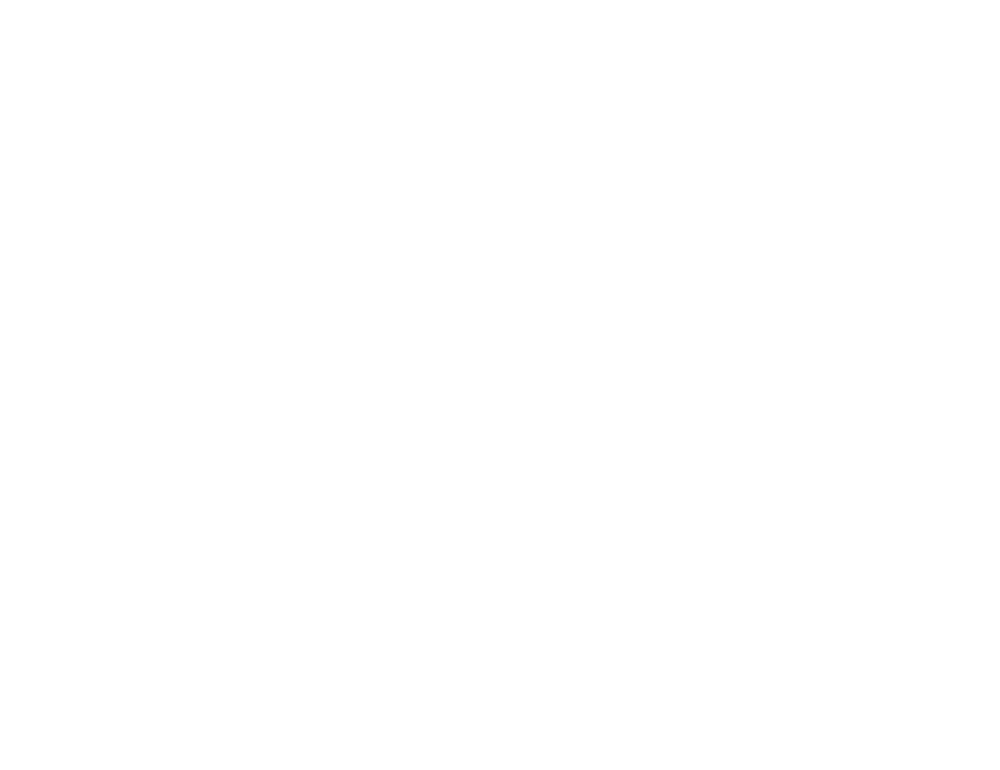 dart zone service logo - JLB, Best Web Design and Web Development Company in Nashville, Brentwood, and Franklin