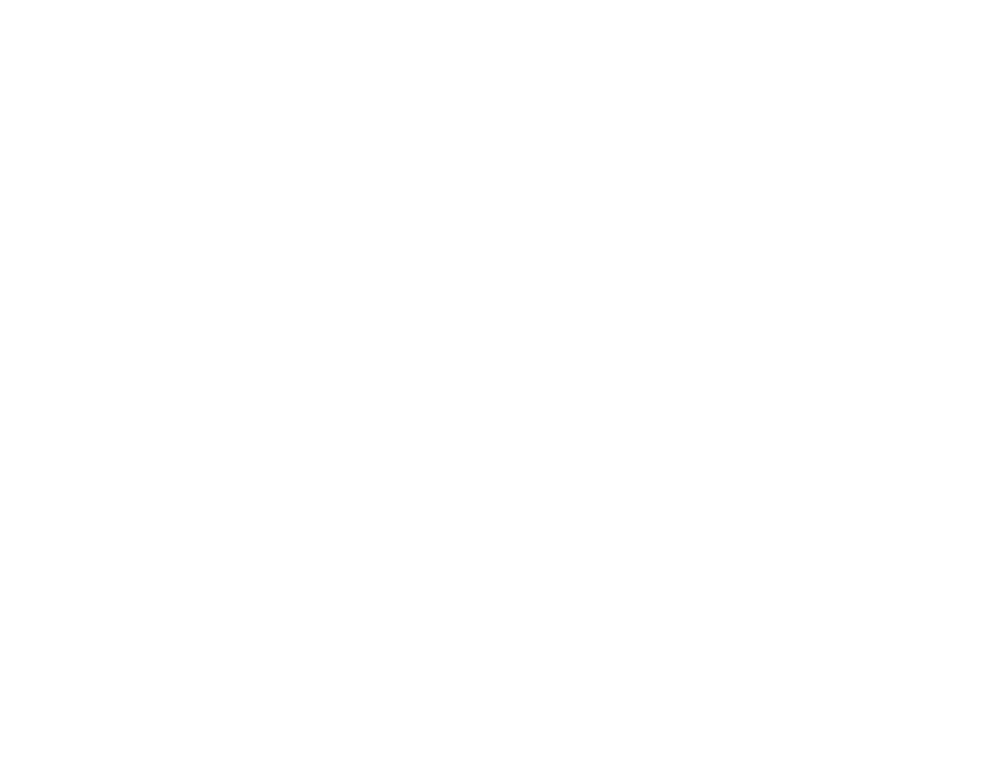first express logo by graphic designers - JLB, Best Web Design and Web Development Company in Nashville, Brentwood, and Franklin