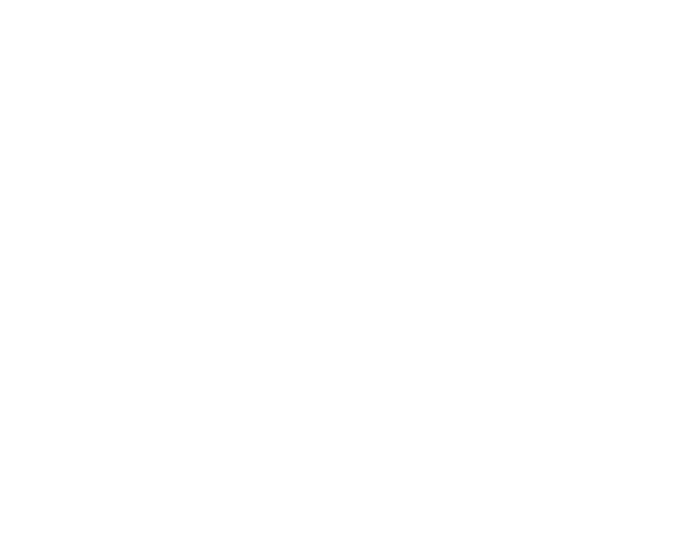 FISK University Logo Design image - by JLB, a Nashville Web Design company