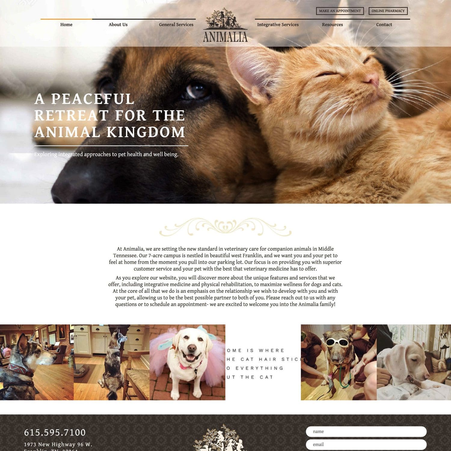animal wellness website - JLB, Best Web Design and Web Development Company in Nashville, Brentwood, and Franklin